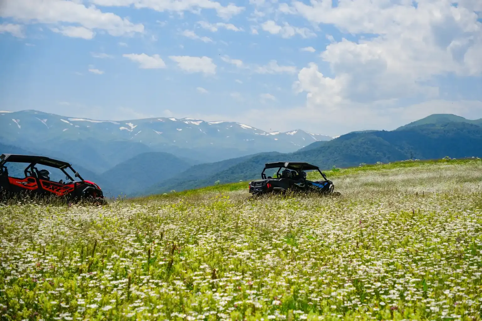 a Family Buggy Tour